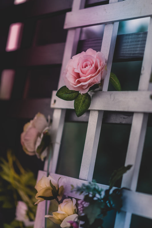 Top 10 DIY Garden Trellis Ideas