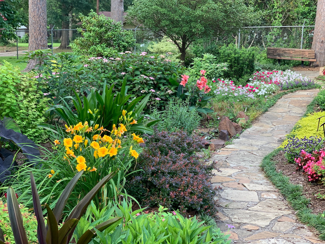 Creating a Low-Maintenance Perennial Garden
