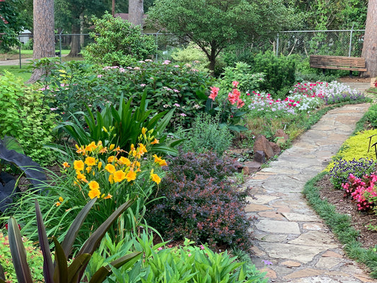 Creating a Low-Maintenance Perennial Garden