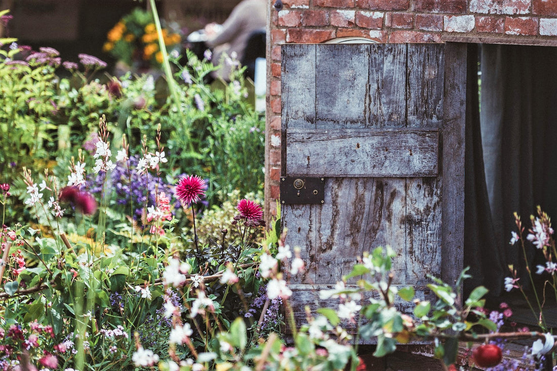 Let The Garden Go Wild!