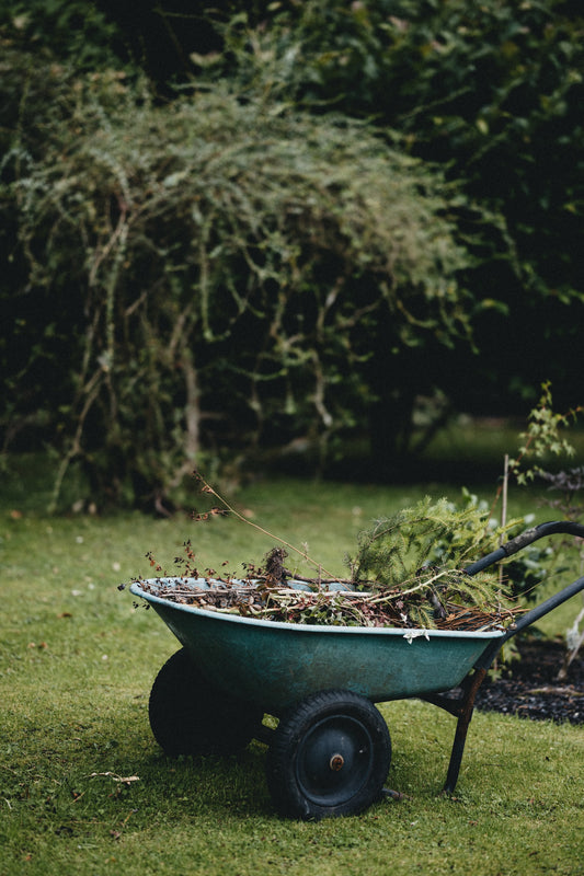 Putting Your Vegetable Garden to Bed for Winter