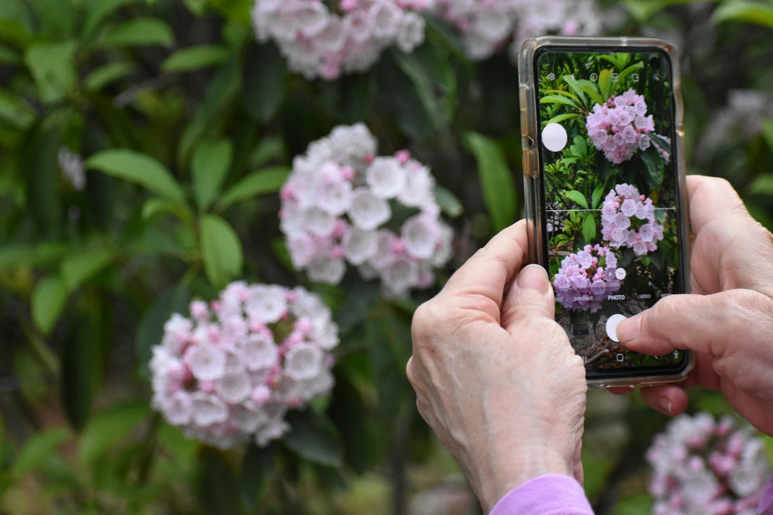 A Gardener's Guide To iNaturalist