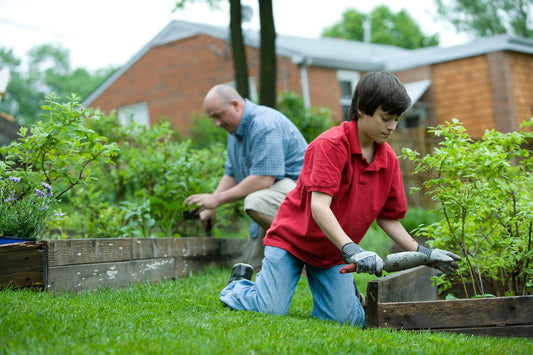 The Best Garden Fertilizing Techniques