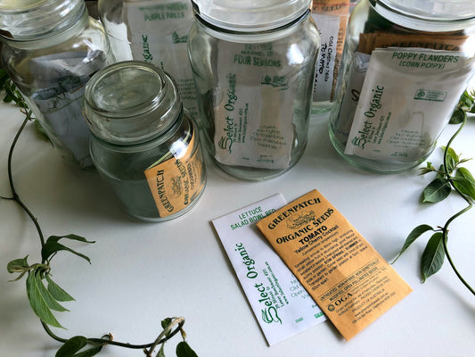 Planting Dates And Why They're Important