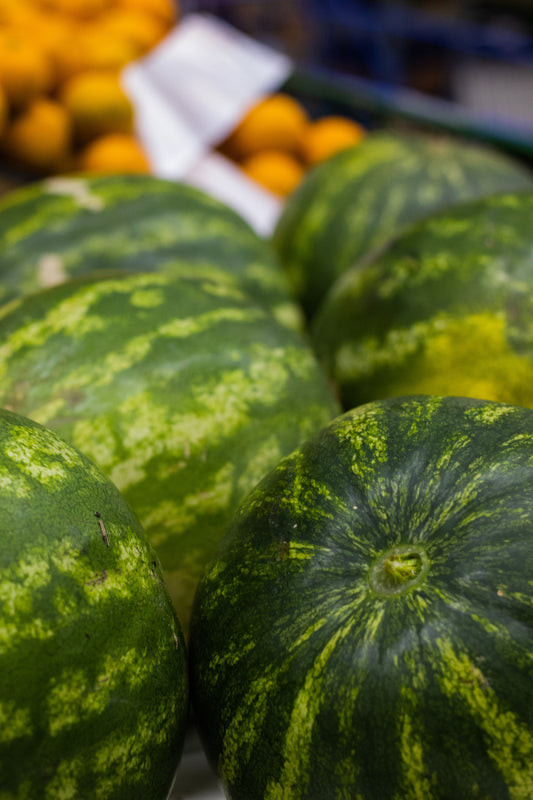 How To Grow Melons In The Garden: Watermelons, Cantaloupes, & Honeydew
