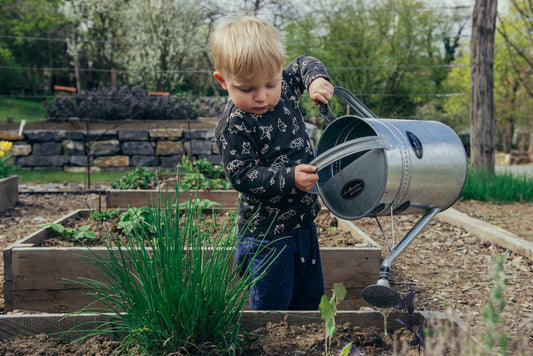 9 Vegetables to Plant in Fall