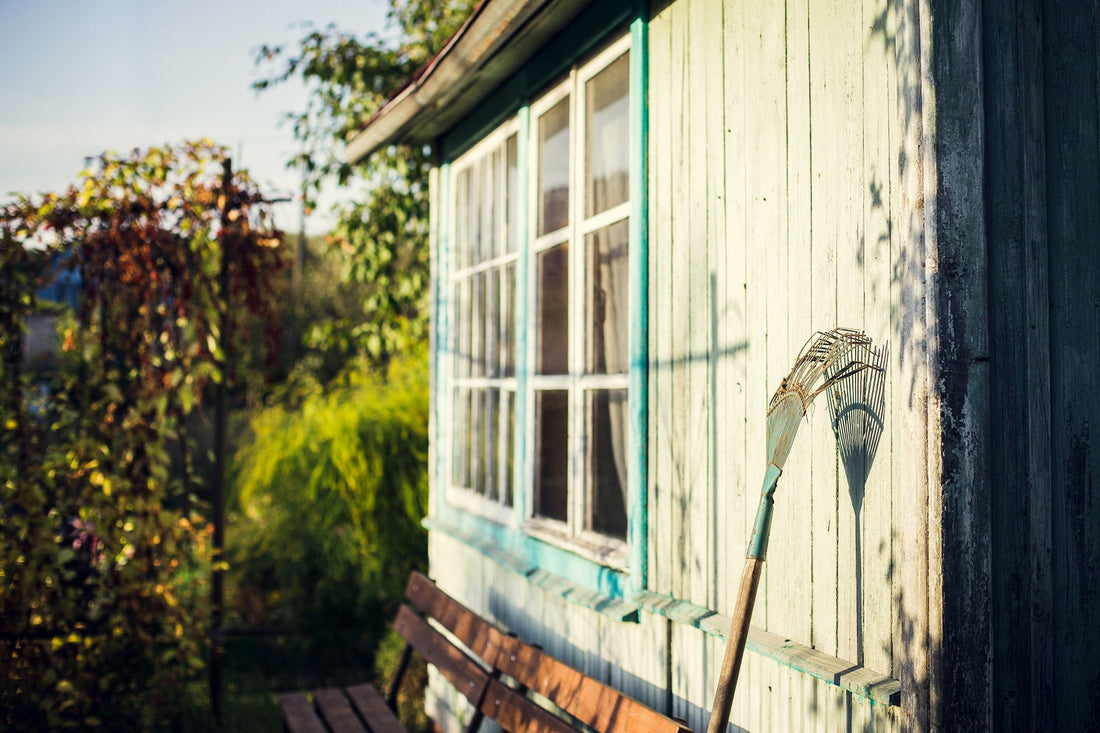 Eco-Conscious Fall Garden Clean Up