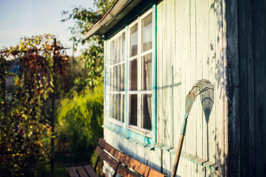 Eco-Conscious Fall Garden Clean Up
