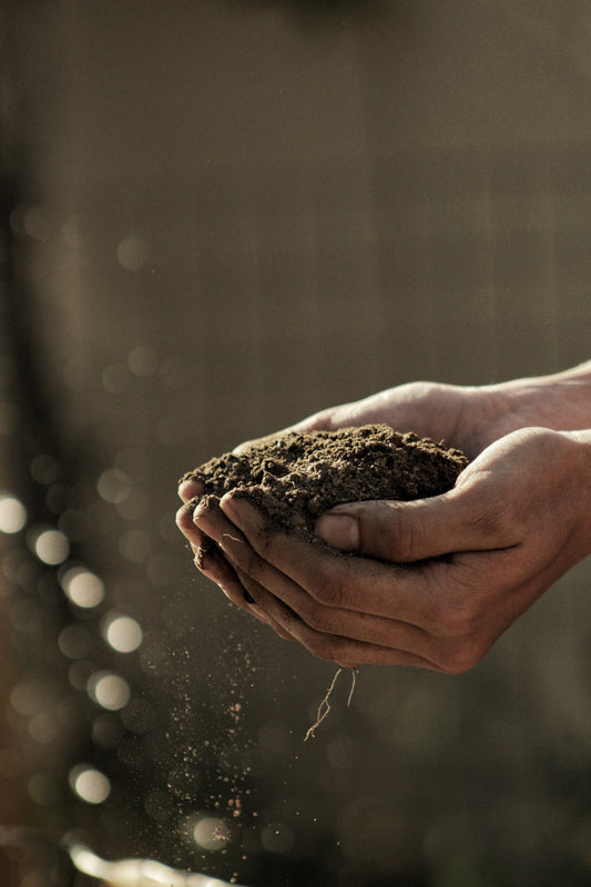 How To Succeed At Home Composting