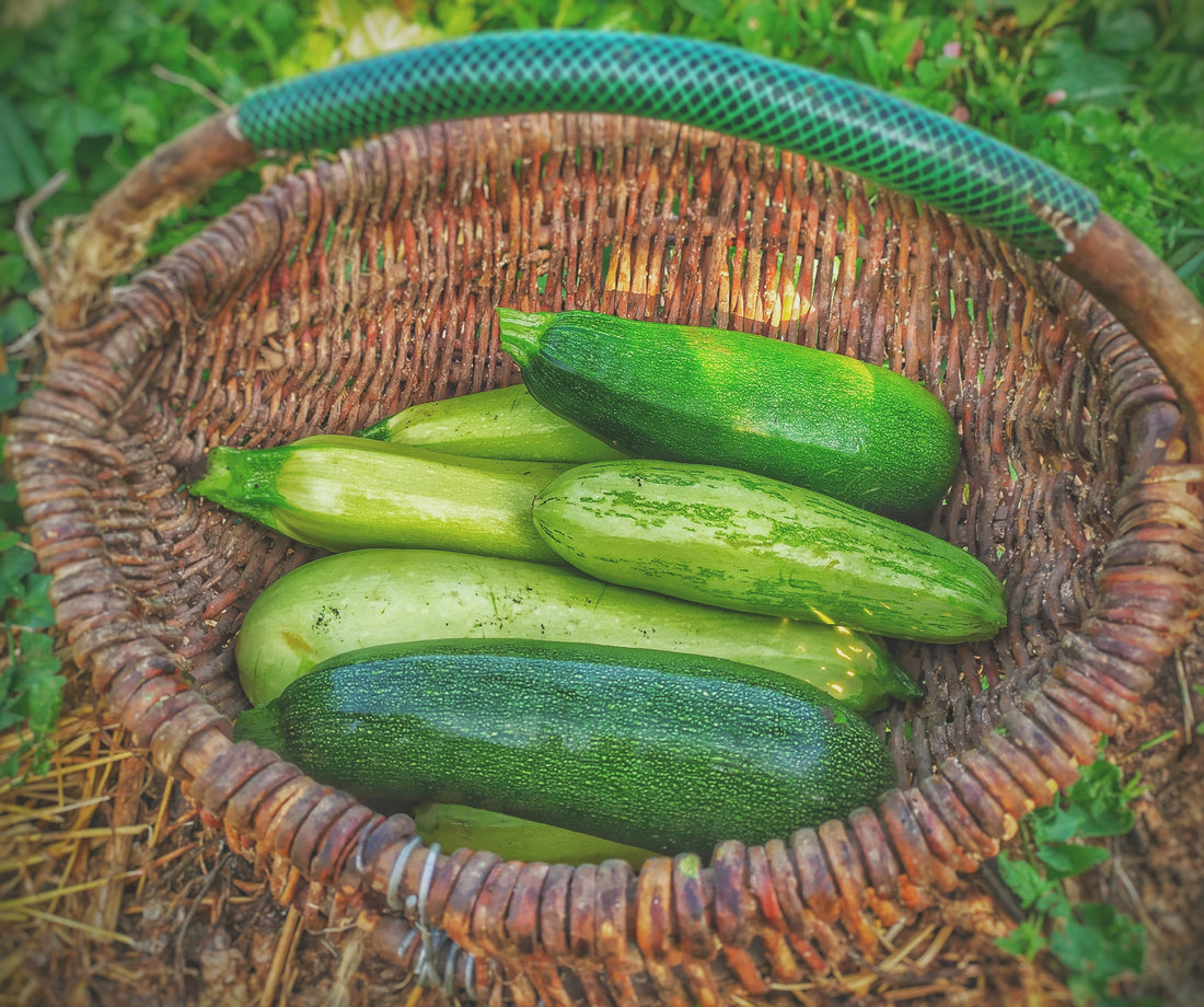 10 Ways To Use Zucchini