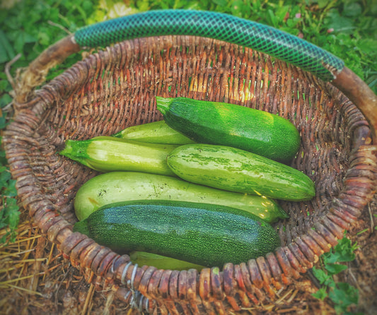 10 Ways To Use Zucchini
