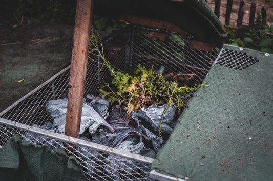 How To Start Composting: Introduction to Composting for Beginners