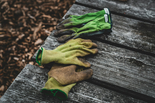 Controlling Weeds in Your Garden: A Comprehensive Guide