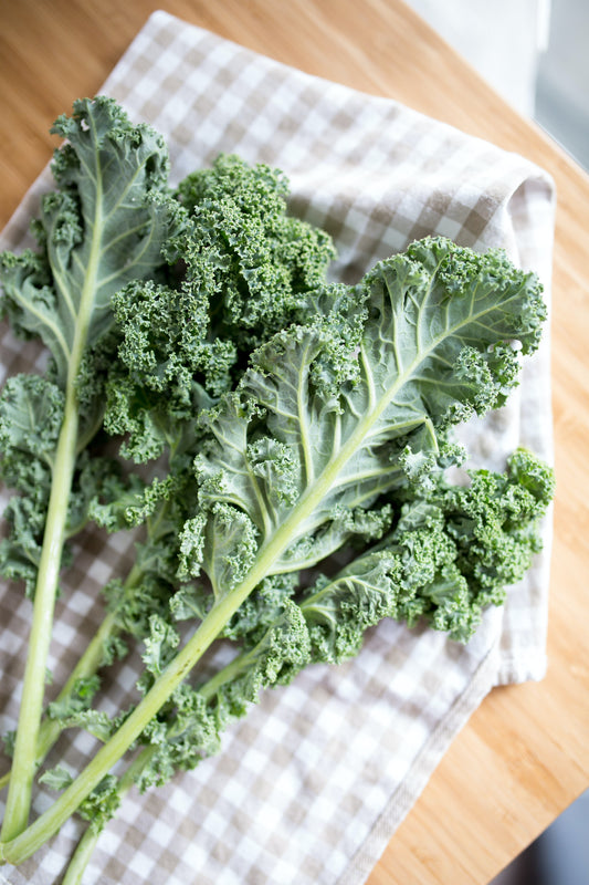 Cut and Come Again Greens: A Guide to Perpetual Harvesting