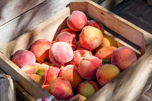 Preserving Fruits and Berries 101