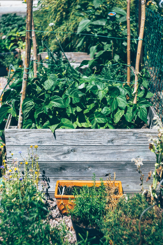 Introduction To Raised Bed Gardens