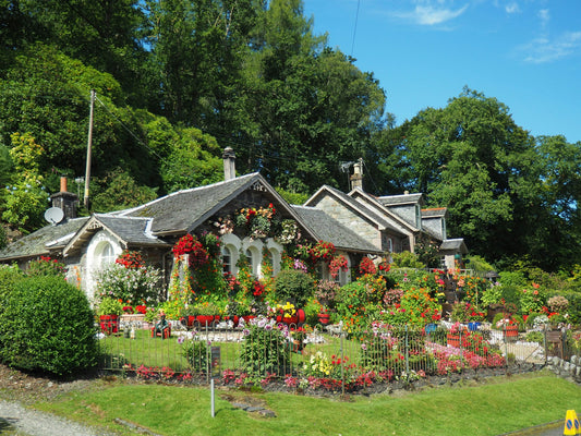 Garden Microclimates and How To Find the Perfect Spot for Your Plants