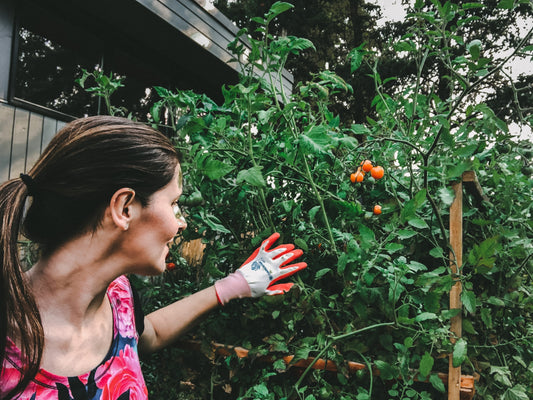 Gardens and Introverts: A Perfect Match
