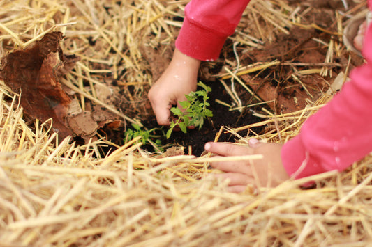 The Magic of Gardening in Times of Crisis