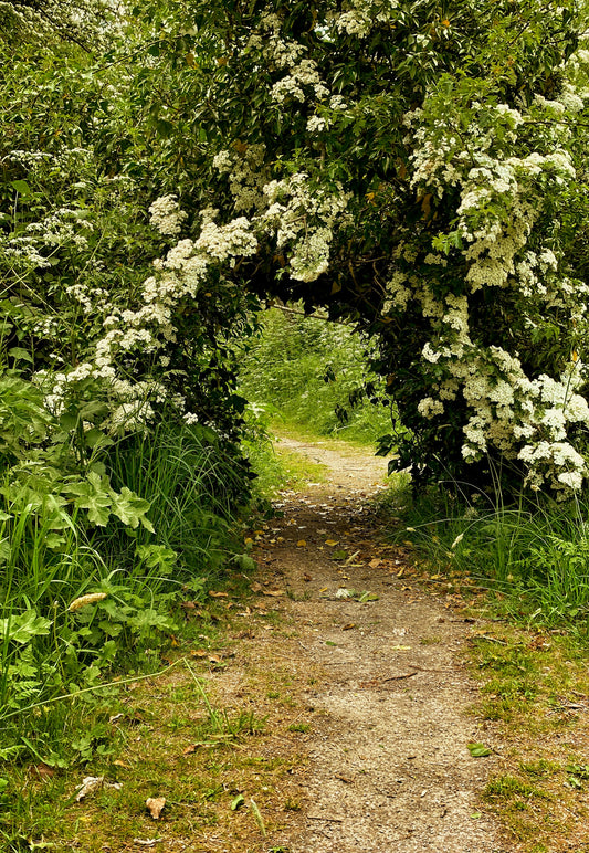 Naturalistic Gardening: Creating Biodiverse and Beautiful Landscapes