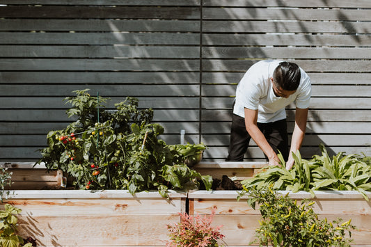 Crop Rotation and Why It Is Necessary