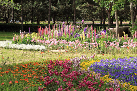 How To Design A Flower Garden