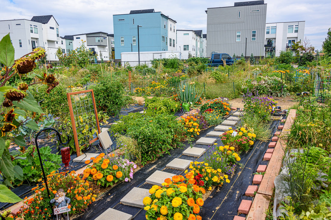 The Benefits of Community Gardening