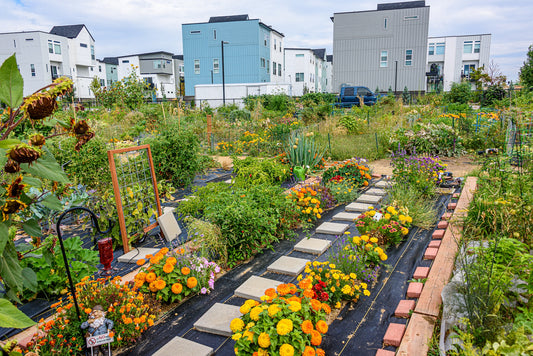 The Benefits of Community Gardening