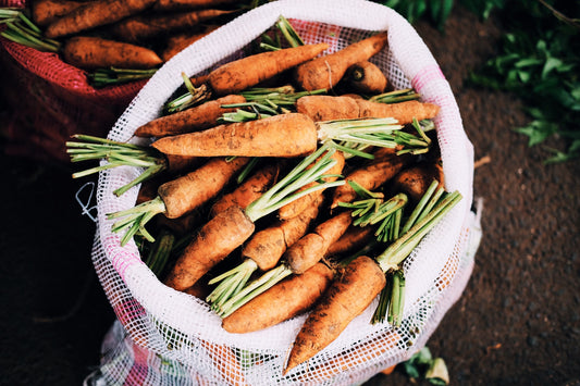 Growing Carrots In The Garden