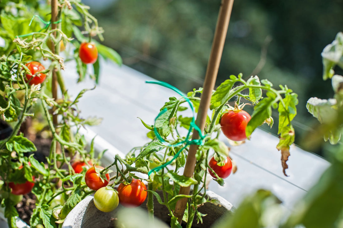 How To Create A Balcony Garden
