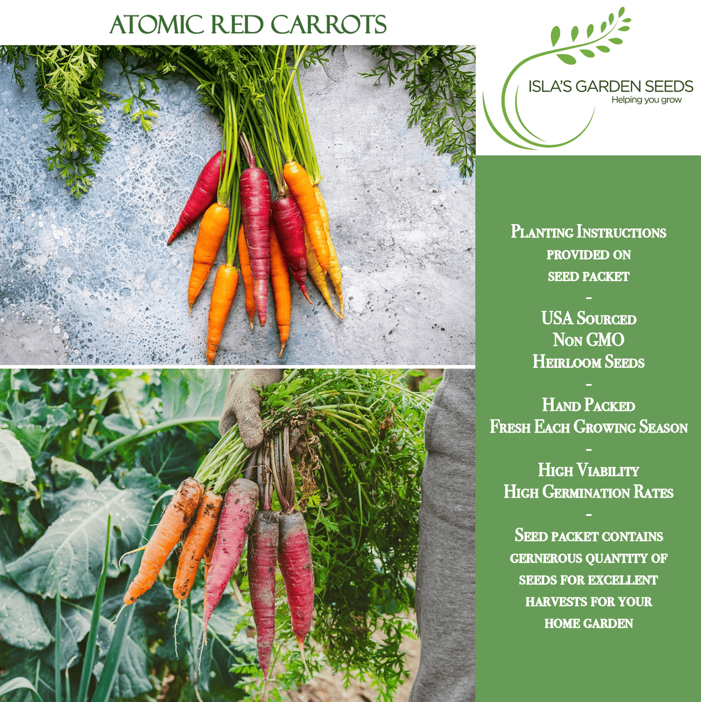 Atomic Red Carrots | 250 Seeds/Pk