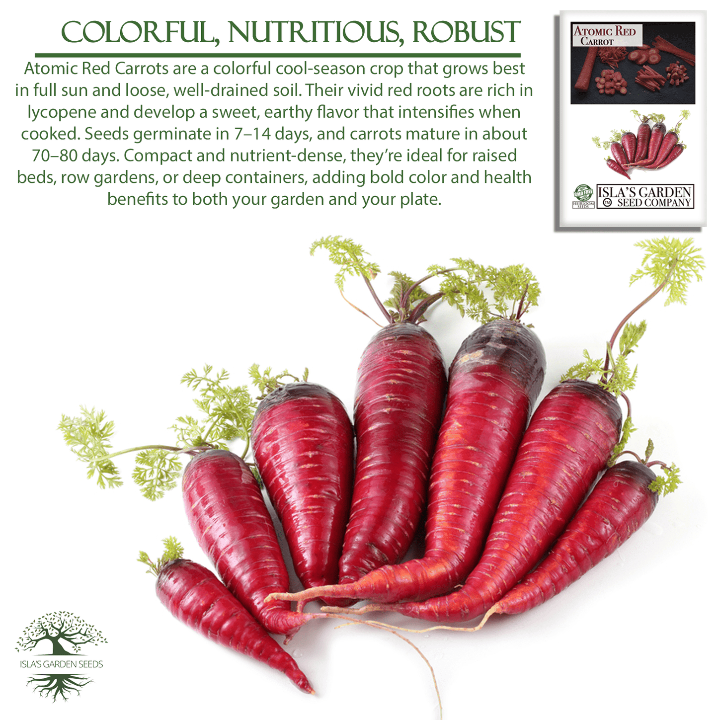 Atomic Red Carrots | 250 Seeds/Pk