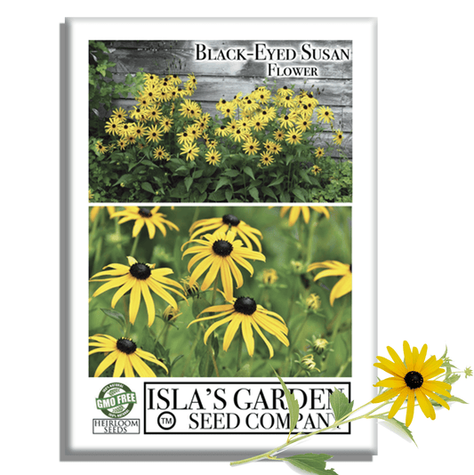 Black Eyed Susan | 3,000 Seeds/Pk