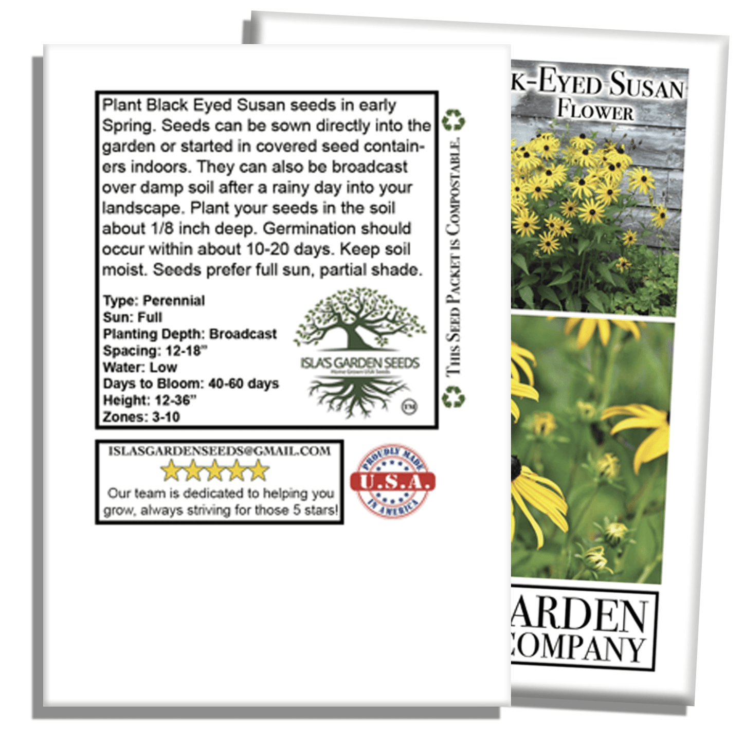 Black Eyed Susan | 3,000 Seeds/Pk