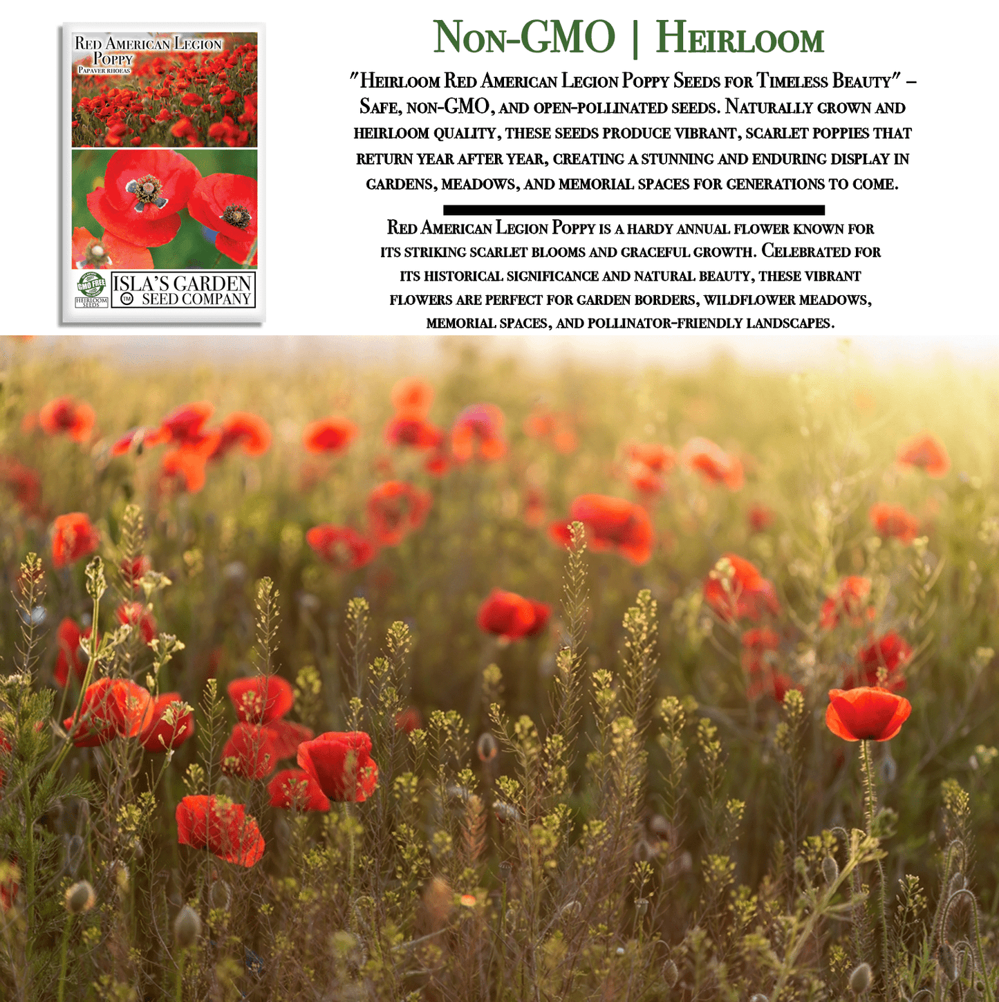 Red American Legion Poppy | 3,000 Seeds/Pk
