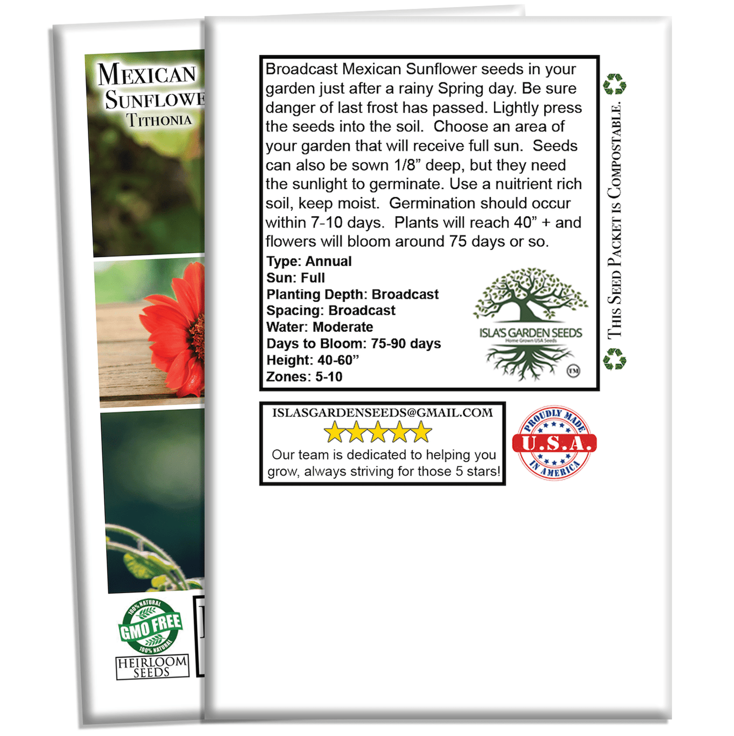 Mexican Sunflower | 100 Seeds/Pk