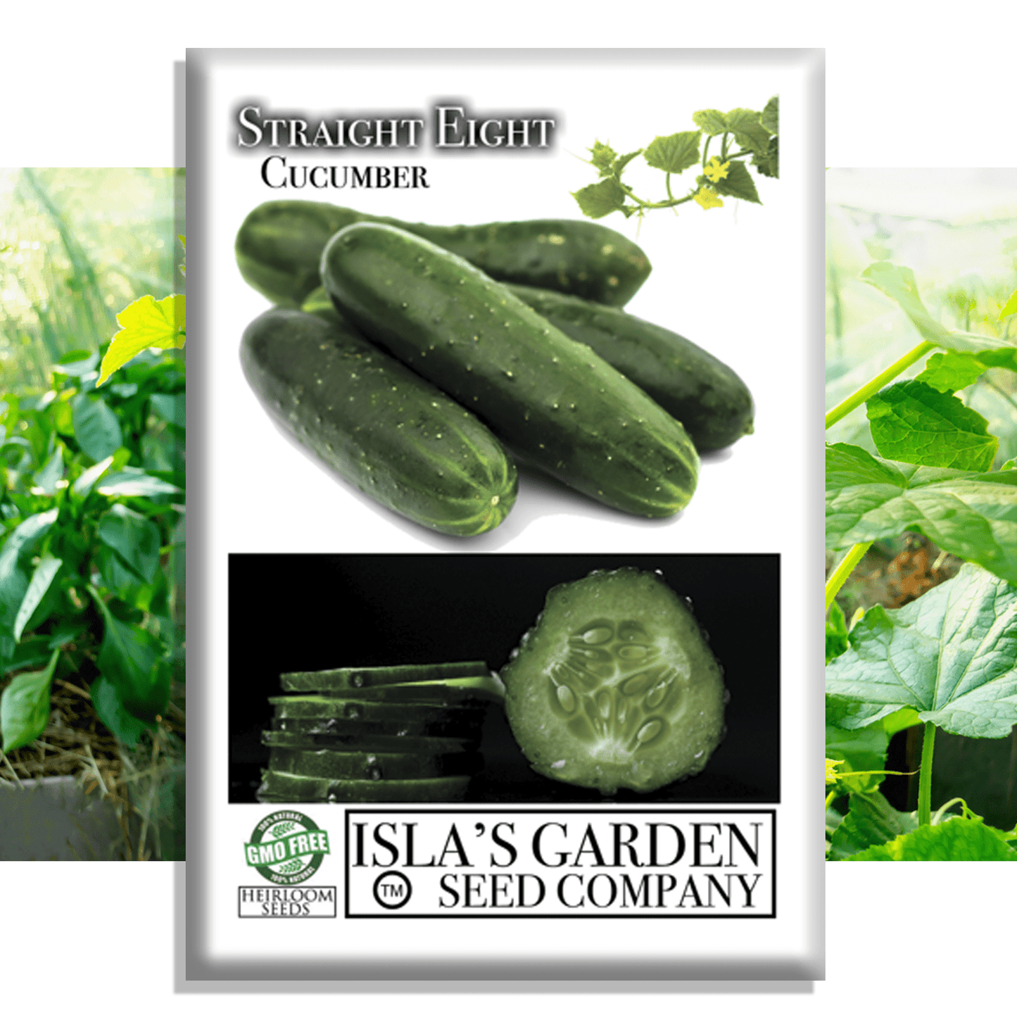 Straight Eight Cucumber | 100 Seeds/Pk