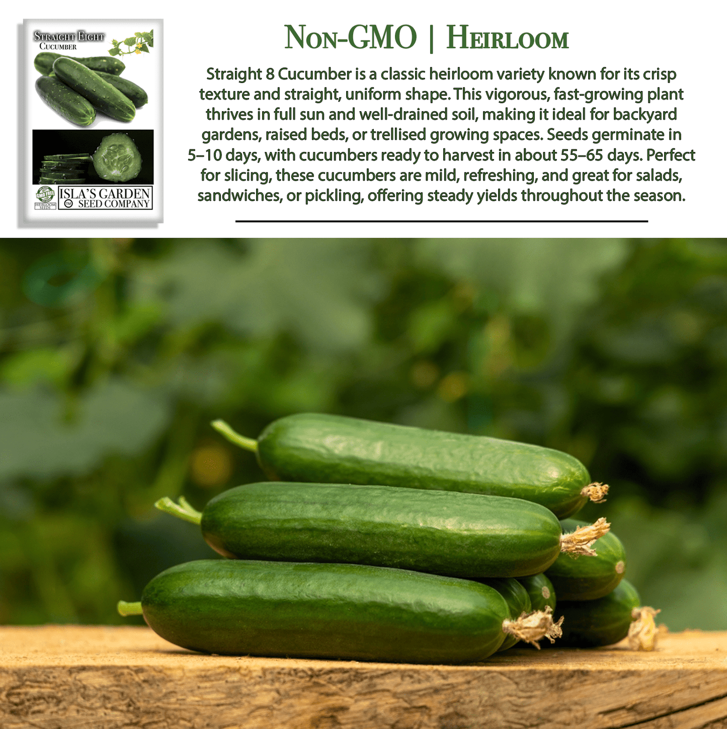 Straight Eight Cucumber | 100 Seeds/Pk