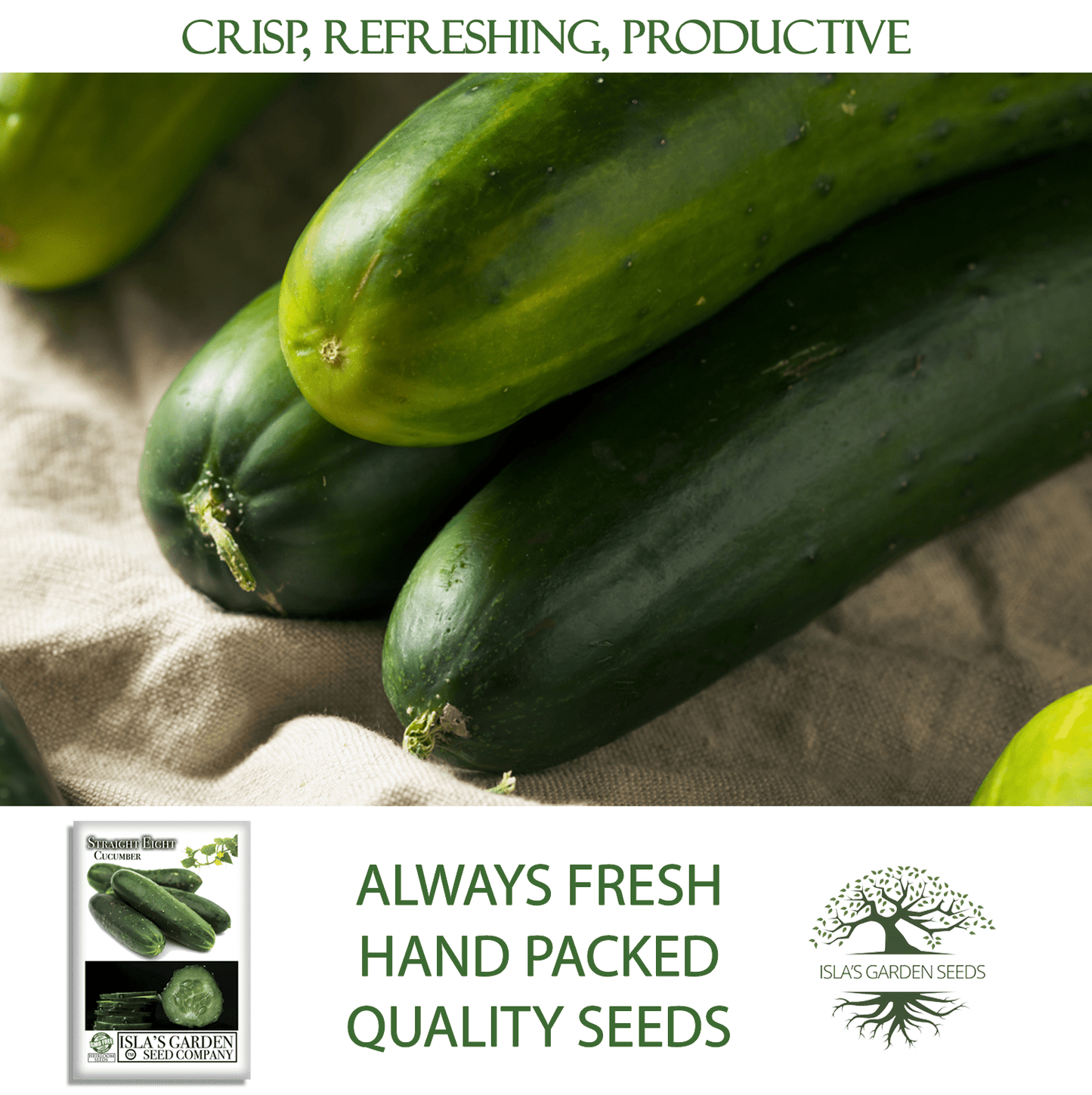 Straight Eight Cucumber | 100 Seeds/Pk