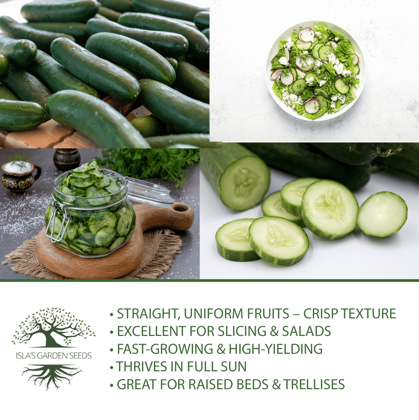 Straight Eight Cucumber | 100 Seeds/Pk