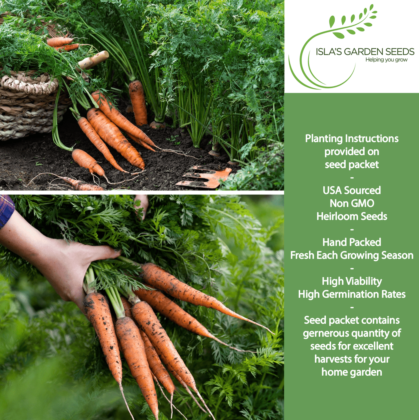 Scarlet Nantes Carrot | 500 Seeds/Pk