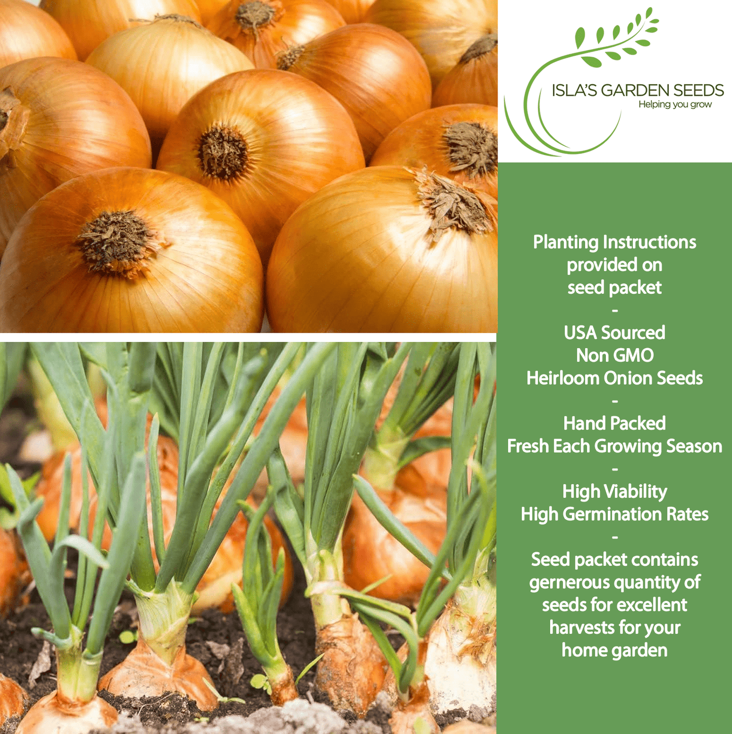 Yellow Sweet Spanish Onion | 750 Seeds/Pk