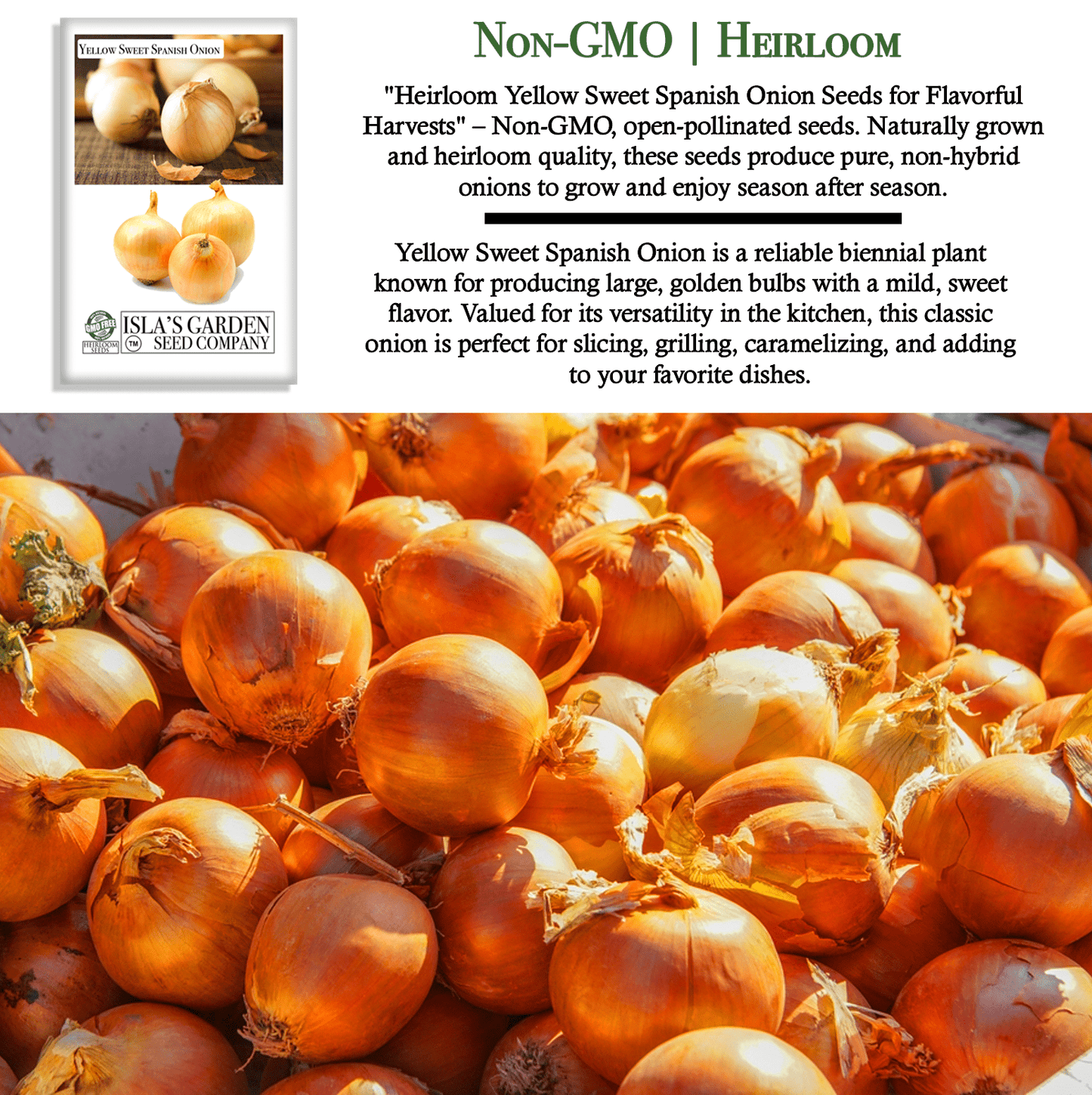 Yellow Sweet Spanish Onion | 750 Seeds/Pk