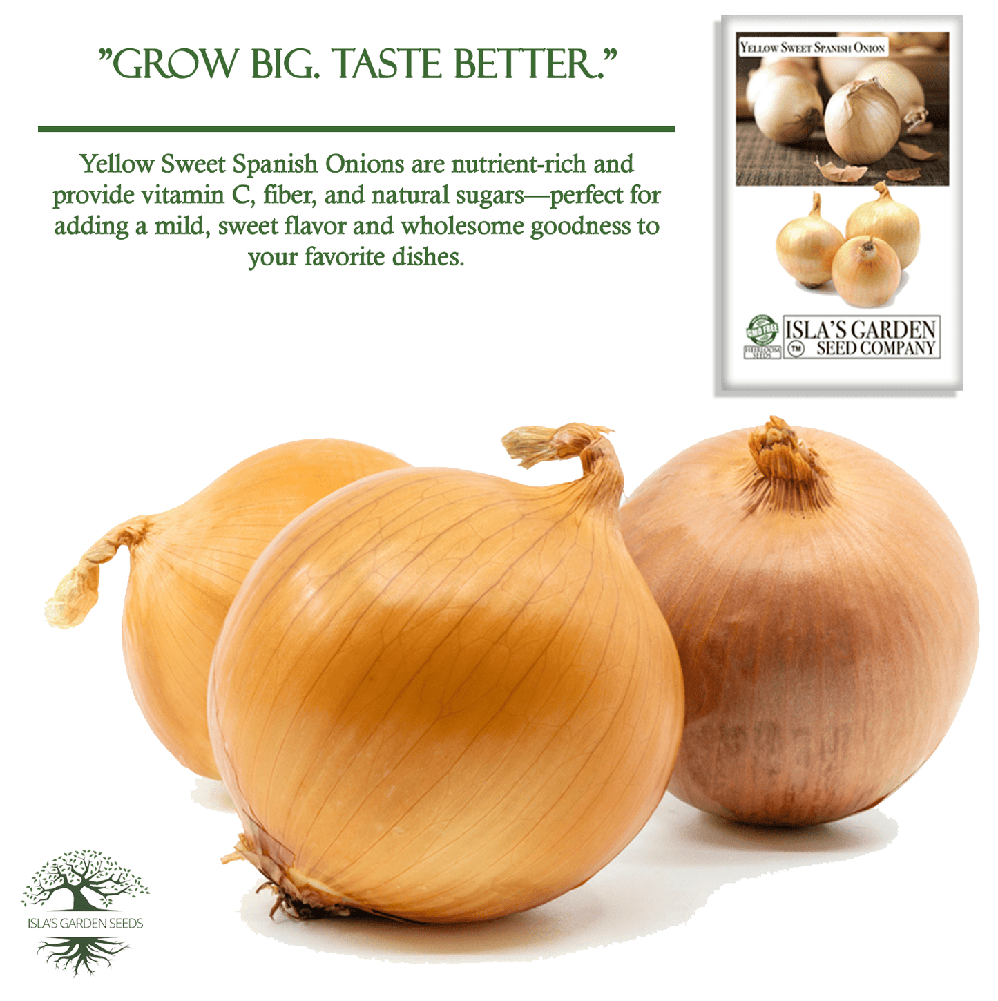 Yellow Sweet Spanish Onion | 750 Seeds/Pk