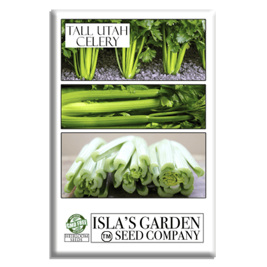 Celery Tall Utah 52-70 Improved | 2,000 Seeds/Pk