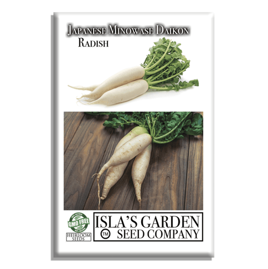 Japanese Minowase Daikon Radish | 100 Seeds/Pk