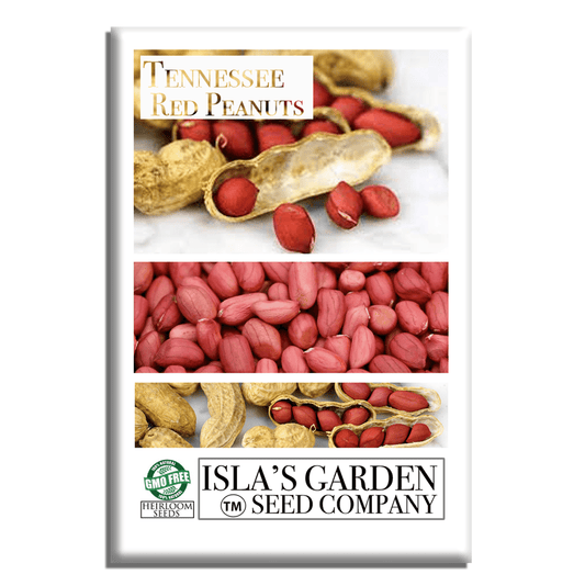 Tennessee Red Peanut, 20 Seeds Per Packet