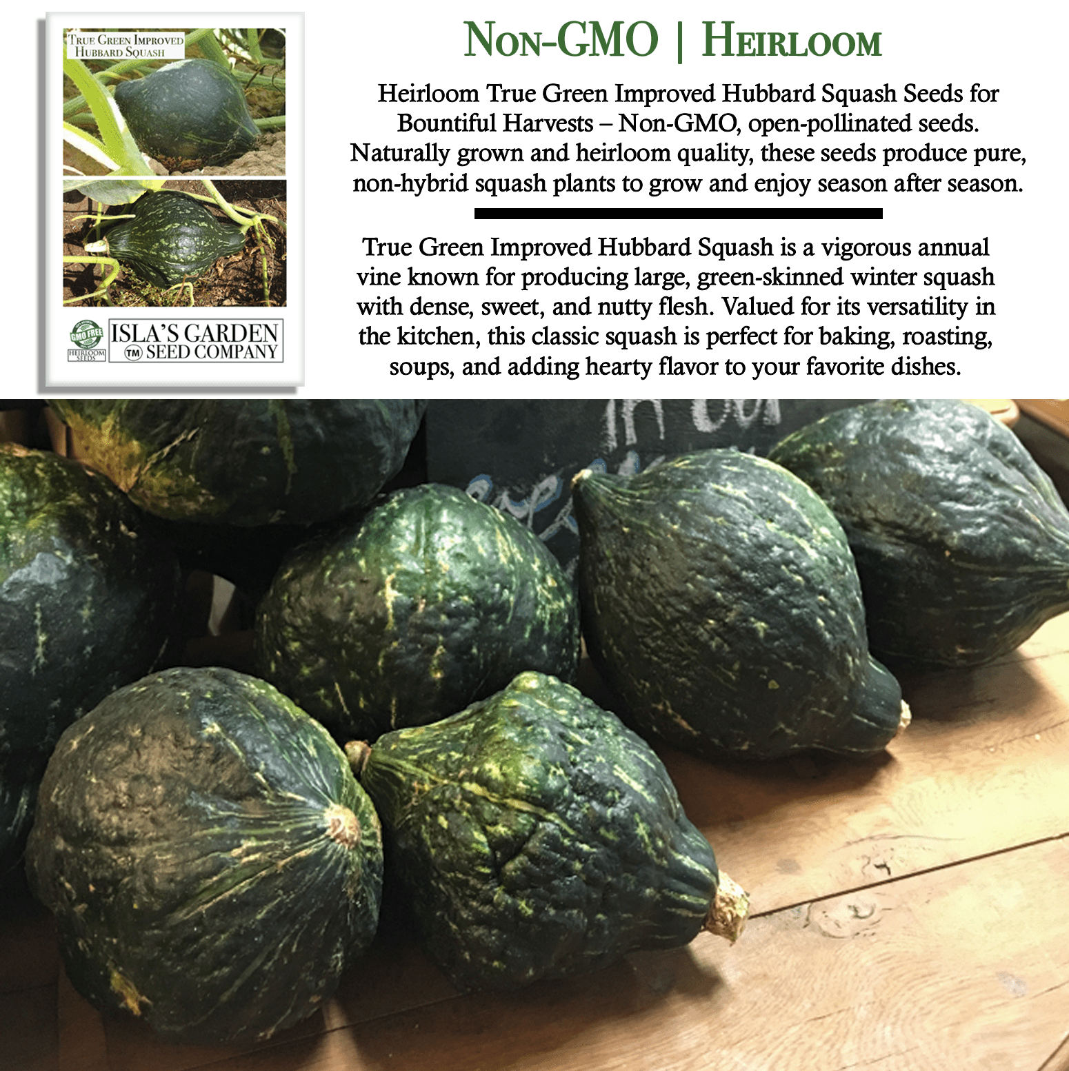 True Green Improved Hubbard Squash | 25 Seeds/Pk