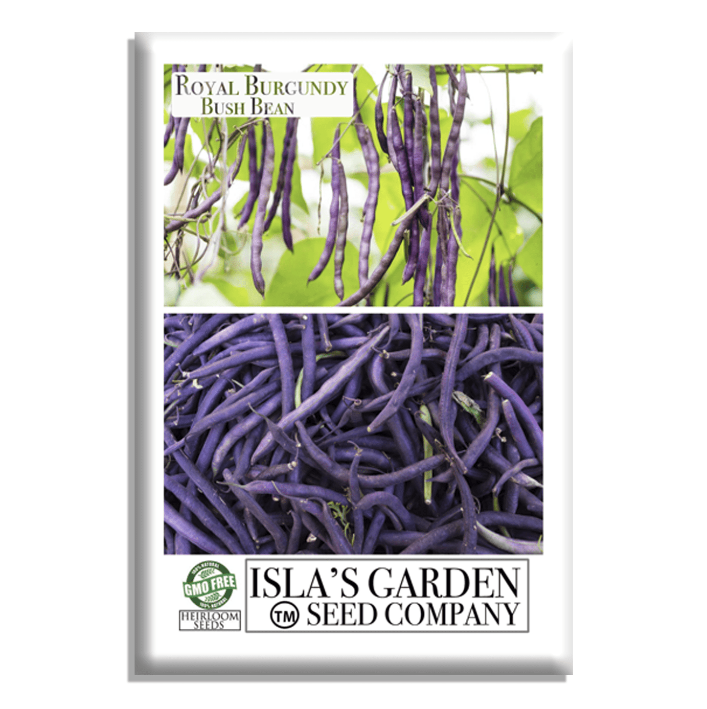 Royal Burgundy Bush Beans | 50 Seeds/Pk