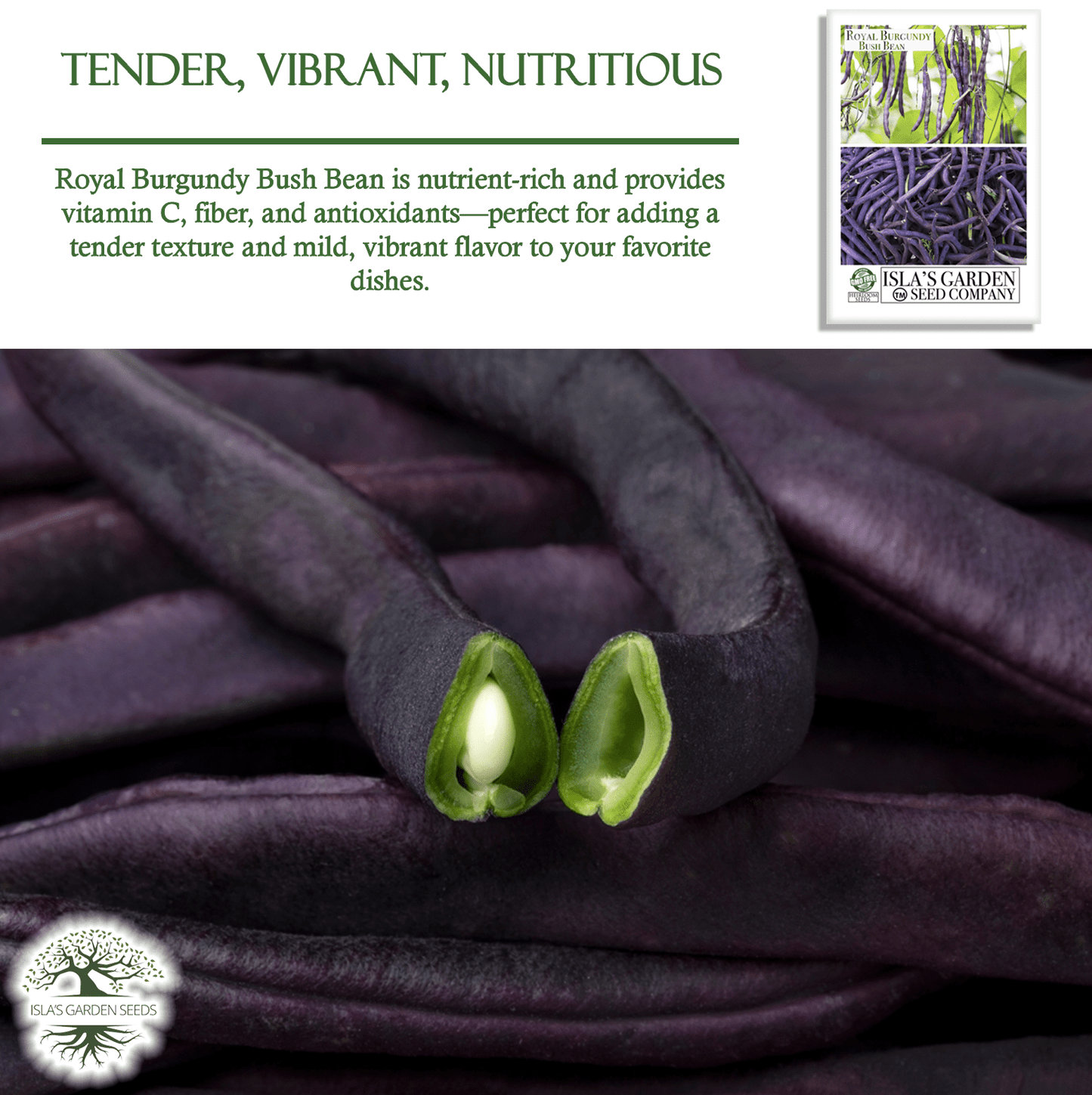 Royal Burgundy Bush Beans | 50 Seeds/Pk